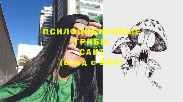 СК Ладушкин