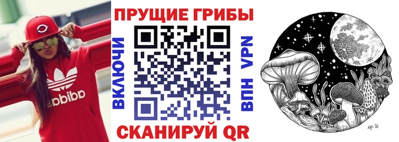 shop как зайти  Тбилисская  Галлюциногенные грибы Psilocybine cubensis 